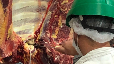 Uluslararası et krizi: 10 işletmeye ithalat sınırlaması