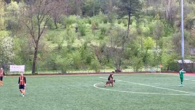 Amatör maçta sahaya köpek girdi