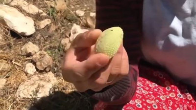 Kimse dönüp bakmıyordu oysa mucizeleri saymakla bitmiyor. Milyonlarca çaresiz hastaya umut oluyor