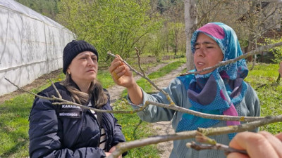 Don olaylarında "zarar tespit" incelemesi