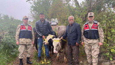 Kilis'te besicinin çalınan hayvanları sahibine teslim edildi