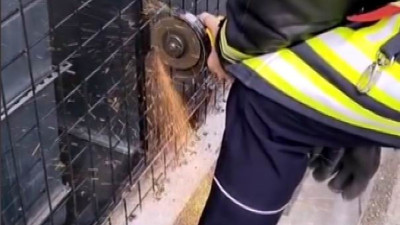 Havalandırma boşluğuna düşen kediye itfaiye yetişti