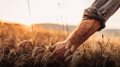Çiftçilere destek müjdesi! Bugün hesaplarına yatırılacak