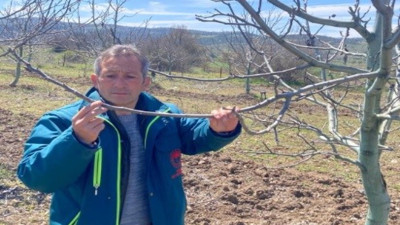 Zirai don hasar tespit başvuruları başladı