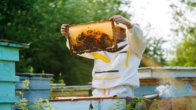 Parmağını arı sokan arıcı yaşamını yitirdi