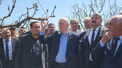 Zirai don 65 ilde çiftçiyi vurdu: Bahçelerde inceleme başladı