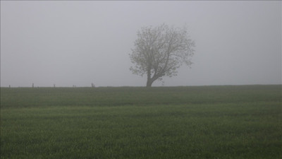 Tekirdağ'da sis bulutu görsel şölen oluşturdu