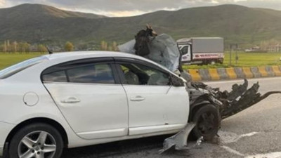 Bitlis'te otomobil hayvana çarptı