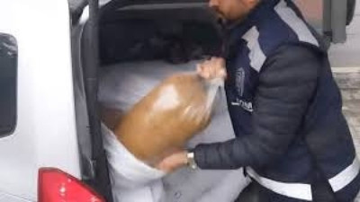 Samsun’da 240 kilo kaçak tütün ele geçirildi