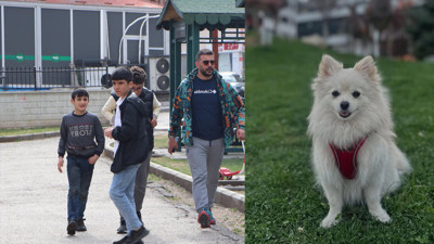 Minik köpeğe büyük ödül: Erzurum’da havalimanında kaybolmuştu