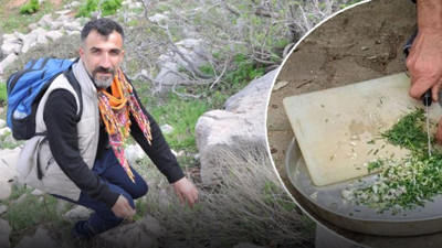 Köylüler dağlardan bedava topluyor, kilosunu ise 10 bin TL'ye satıyor!