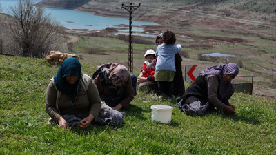 Yemeği, salatası, çayı yapılıyor her derde deva oluyor. Türkülere konu oldu hasadı başladı