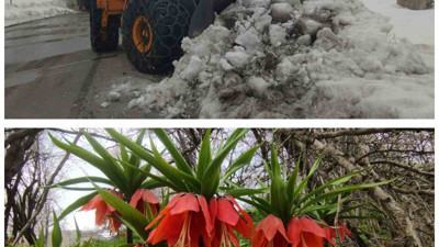 Van’da 3 bin rakımda kış, bin 850 rakımda bahar