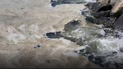 Gemlik Körfezi'nde yaşamı yok etti! Balıkçıları işsiz bıraktı