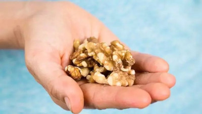 Günde bir avuç yenen ceviz mucize saçıyor! Sağlığa faydaları ağızları açık bırakacak