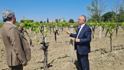 Don zararına uğramışlardı! Büyükşehir’den üreticilere destek