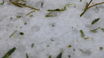 Antalya’da zeytin bahçeleri yerle bir oldu: Dolu yağışı çiftçiyi vurdu