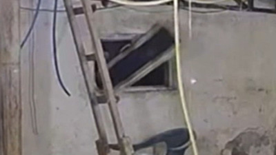 Aç kalan ayı kümese saldırdı! O anlar kamerada...