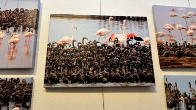 Flamingo Adası Bornova’da sanatla buluştu!