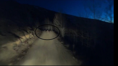 Bayburt'ta gece motosikletin önünde koşan iki ayı görüntülendi