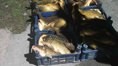 Kaçak avlanan 210 kilo balık ele geçirildi