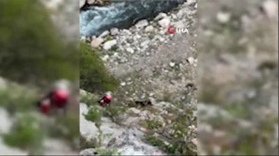 Kapuzbaşı Şelaleleri’nde nefes kesen kurtarma! Keçiler için 4 saatlik mücadele