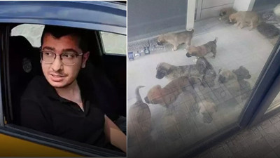 Ankara'da kan donduran vahşet! Cani doktorun 26 köpeği öldürdüğü ortaya çıktı