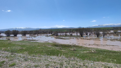 Ağrı’da Murat Nehri taştı: Araziler göle döndü