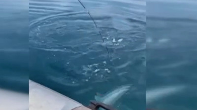 Hatay’da amatör balıkçının büyük avı! 30 kiloluk devle 45 dakika nefes kesen mücadele