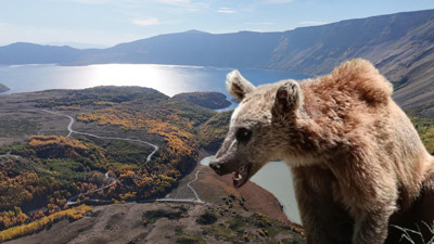 Bitlis Valiliği'nden Nemrut'a giden piknikçilere kritik uyarı: Ayılara yaklaşmayın!