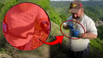 Zehirli yılanı boynuna kolye yaptı! Görenleri şaşkına çeviren görüntü