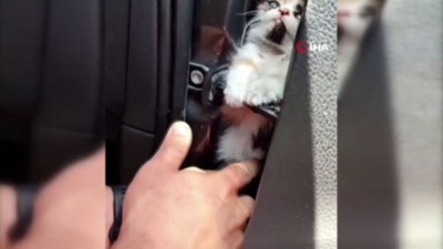 Aracın kapısına sıkışan kedi için nefes kesen kurtarma!