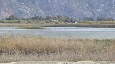 Kuş cennetinde 12 yeni tür gözlendi