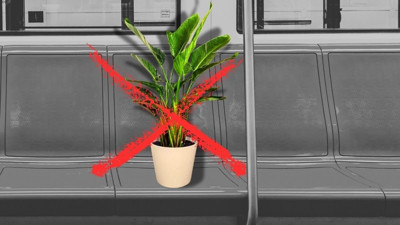 Metroda ilginç ceza: Dev bitki genç kadına pahalıya patladı