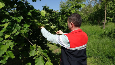 Karadeniz bölgesi topyekün karşı saldırıya geçecek! 20 bin bubi tuzağı kuruldu