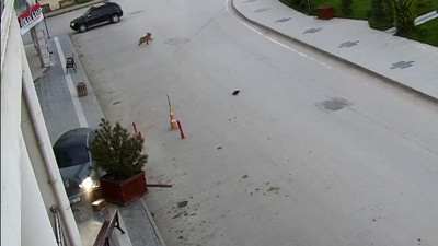 Alkollü kadın sürücü ortalığı birbirine kattı