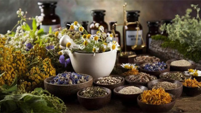 Kanserde bitkisel tedavilerle ilgili uzmanlardan hayat kurtaran uyarılar