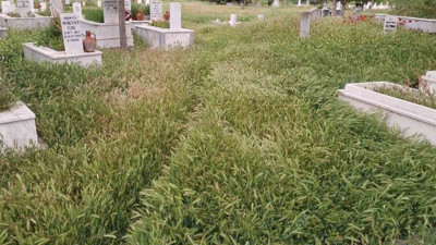 Mezarlıklar sahipsiz kaldı