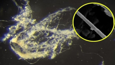 Çamurdan çıkan mucize! Elektrik üretiyor! Dünyayı sarsan gelişme