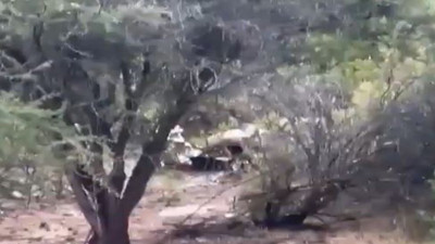 Şili'de ambulans uçak dağlık alana çakıldı: 6 ölü!