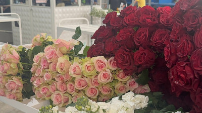 Yalova'da 'Anneler Günü' yoğunluğu