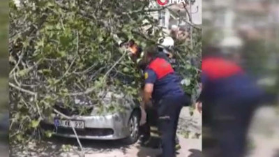 İtfaiye devreye girdi: Ağaç otomobili ezdi
