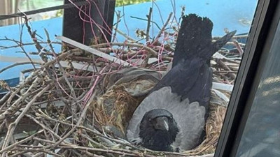 Ev hapsindeki Mahir Polat’ın belediyedeki ofisine sürpriz konuk! Videosu izlenme rekoruna gidiyor