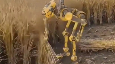 Robotlar tarlaya iniyor! Çiftçinin yeni dostu mu, rakibi mi?