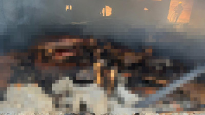 Manyas’ta ağılda felaket! 30 koyun ile 12 kuzu telef oldu