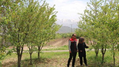 Erzincanlı profesörün biyolojik mücadelesi!