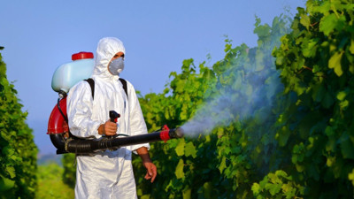 Kene tehlikesine karşı uzmanlardan acil çağrı