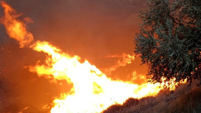 Hatay’da zeytinlikte yangın