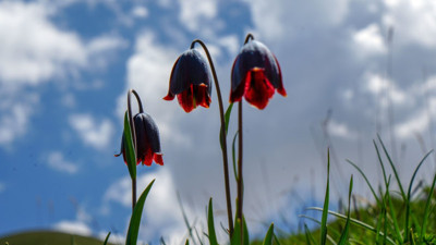 Palandöken’de görsel şölen
