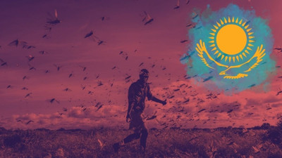 Çekirgeler Kazakistan'ı istila etti: Hükümet alarma geçti